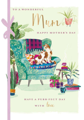 Picture of TO A WONDERFUL MUM HAPPY MOTHERS DAY HAVE A PURR-FECT DAY